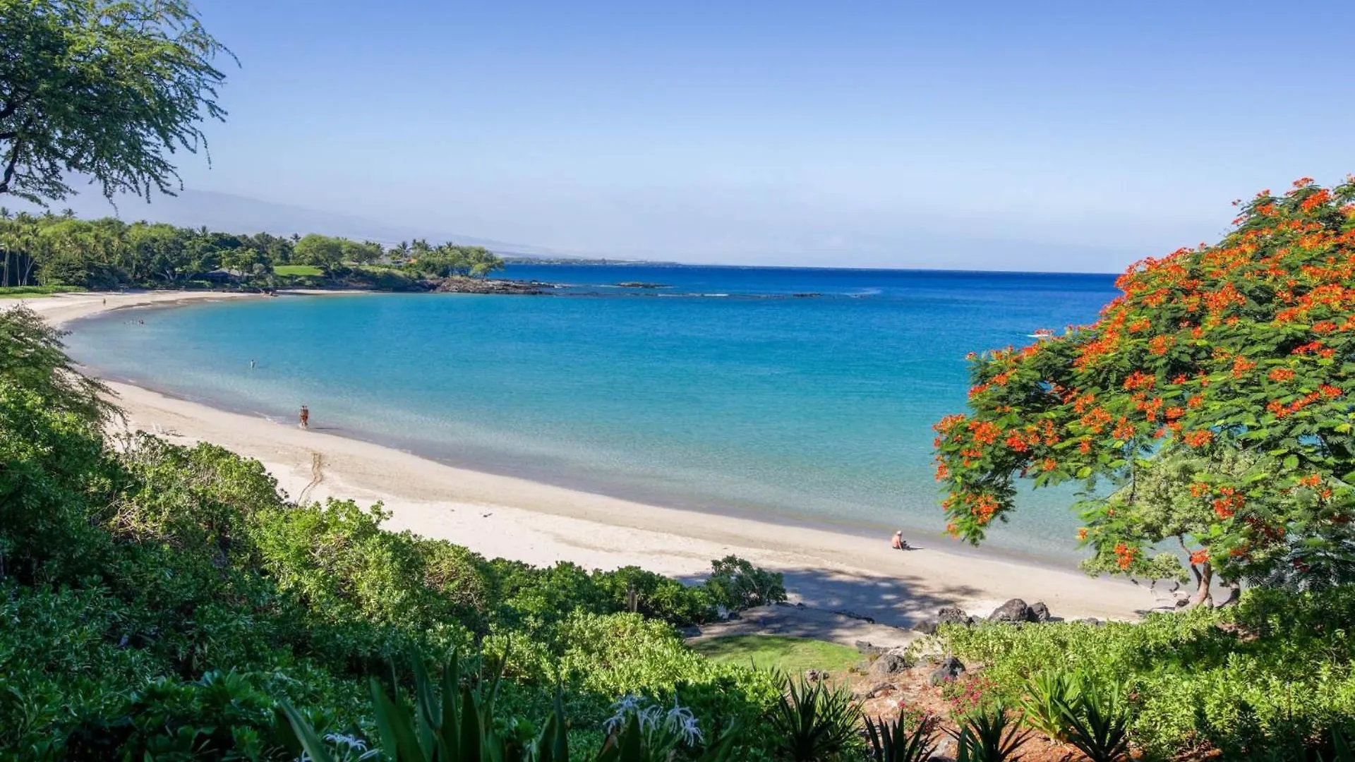 Majestic Ocean Majestic Mauna Kea Condo With Golf And Ocean Views Hapuna Beach Lägenhet